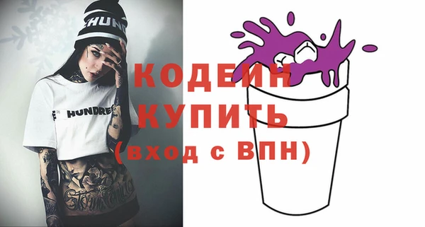 ECSTASY Няндома
