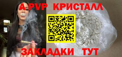 ECSTASY Гай