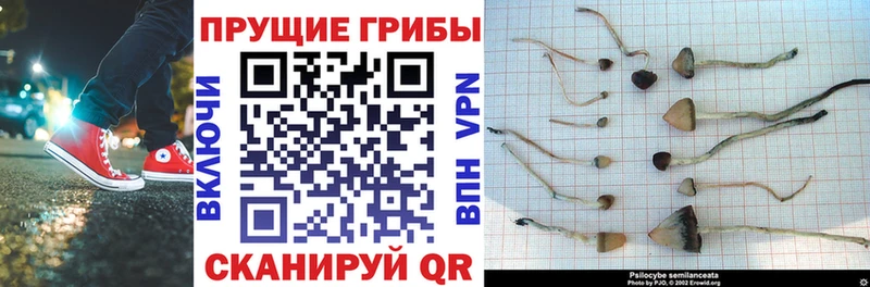 Галлюциногенные грибы ЛСД маркетплейс как зайти Бахчисарай