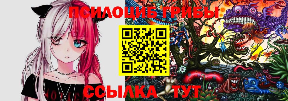 где можно купить наркотик  Псилоцибиновые грибы Psilocybe  Бахчисарай  Вход с VPN  Галлюциногенные грибы мухоморы 
